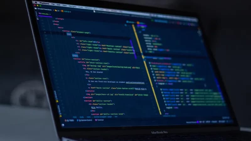 Bridging the IT Skills Gap in Startups